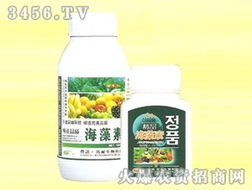 山東諾邦生物安丘有機肥料廠產品代理商張輝拓展安徽市場，共推生物肥料新篇章