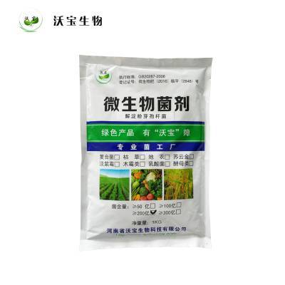 解淀粉芽孢桿菌 多功能生物肥料，賦能綠色農(nóng)業(yè)