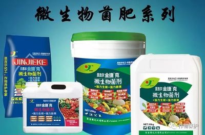 科學(xué)施用菌肥 掌握7大關(guān)鍵注意事項(xiàng)與規(guī)避6大無(wú)效原因